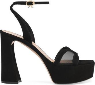 Gianvito Rossi Suede Platform in Black Suede at Nordstrom, Size 39.5