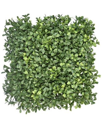 Creative Displays Inc. Set Of 24 Green Boxwood Mats
