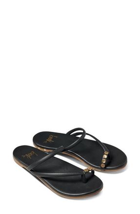 beek Starbird Studded Toe Ring Slide Sandal in Black at Nordstrom, Size 10