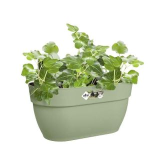ELHO Jarr&oacute;n Para Plantas - Vibia Campana Easy Hanger Medium - Verde Pistacho - Balc&oacute;n Exterior - L 24.1 X P 36 X A 26.5 Cm - Elho