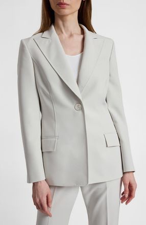 Santorelli Jess Crepe Single Button Jacket in Ash at Nordstrom, Size 14