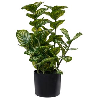 Beliani Planta Artificial En Maceta Para Interior Decoraci&oacute;n Moderna De Pl&aacute;stico 50 Cm Verde Orbifolia