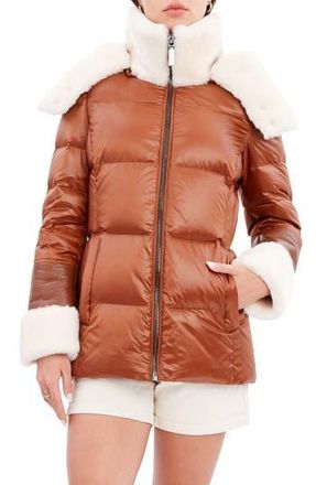 Dawn Levy Puffer Jacket with Genuine Shearling Trim in Cognac at Nordstrom Rack, Size Large