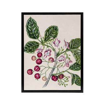 Artery8 New Zealand Puriri Vitex Lucens Flowers Featon Framed Canvas Wall Art in Beige | Size: W24 x H32