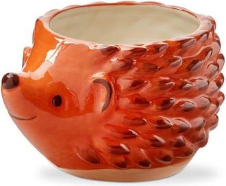 Tag Hedgehog 4 Planter Brown Multi Earthenware Spring at Nordstrom