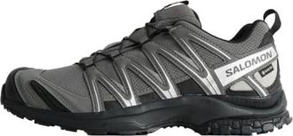 Salomon XA Pro 3D Gore-Tex Pewter Silver Cloud 475875