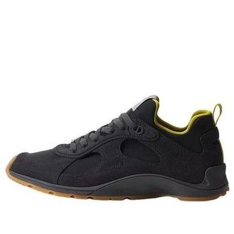 Dior Mile Sneaker Deep Grey 3SN352ACU-H895