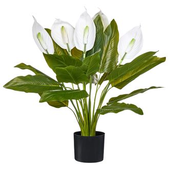 Beliani Planta Artificial En Maceta Para Interior Decoraci&oacute;n De Pl&aacute;stico Con Maceta Negra Spathphyllum