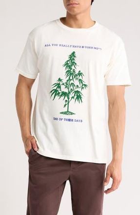 One Of These Days All You Really Have is Your Mind Graphic T-Shirt in Bone at Nordstrom Rack, Size Medium