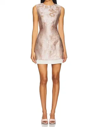 Anna Quan Mabel Mini Dress In Rosewater