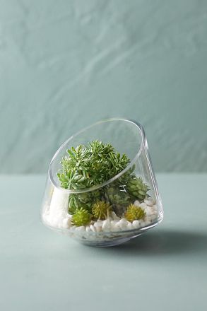 Terrain Angled Edge Terrarium