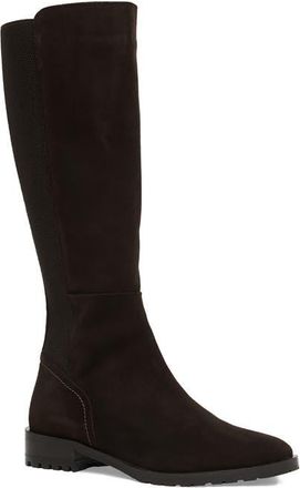 Aquatalia Romello Waterproof Knee High Boot in Espresso Suede at Nordstrom, Size 9.5