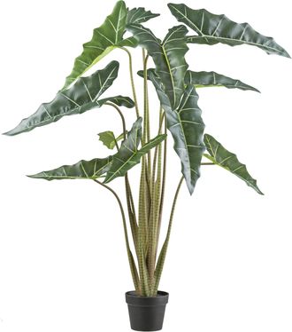 Schubiger M&ouml;bel Kunstpflanze Alocasia