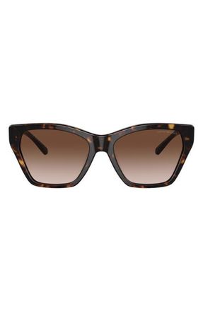 Emporio Armani 55mm Gradient Cat Eye Sunglasses in Shiny Hava at Nordstrom