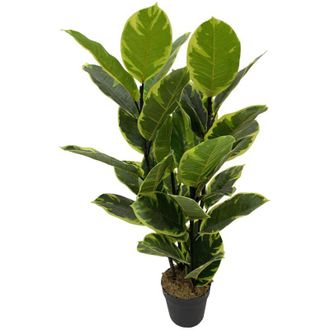 Mobili Rebecca Mobili Rebecca - Pianta artificiale Fico Indiano Rebecca Mobili Baishi 90x35x35 peva Polietilene Verde Marrone