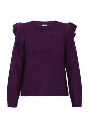 Dreimaster Dreimaster Jumper Dames paars