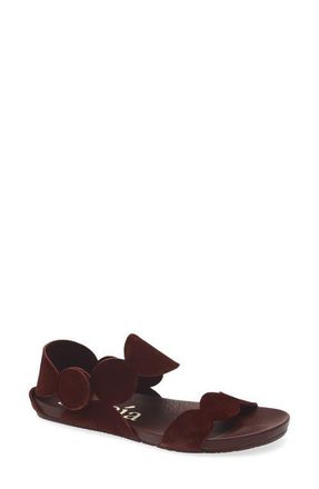 Pedro Garcia Jeanne Ankle Strap Sandal in Brunette Castoro at Nordstrom, Size 10.5Us