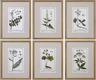 Uttermost Set Of 6 Uttermost Green Floral Botanical Study Prints