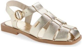 Bottero Botfisher Ankle Strap Fisherman Sandal in Dourado 22 at Nordstrom, Size 10