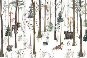OEM Fotomural Infantil De Bosque Denso Con Animales: Oso De Peluche, Zorro, Mapache Y B&uacute;ho. Dwk094 200x135