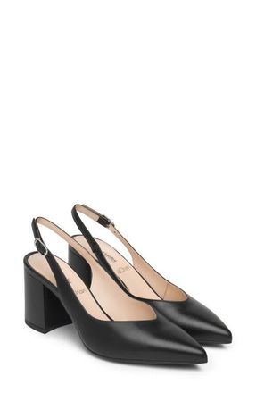 Nero Giardini Slingback Pointed Toe Pump in Black at Nordstrom, Size 10Us