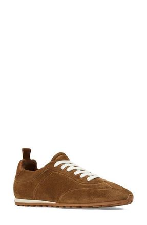 Aquatalia Oasis Weatherproof Sneaker in Cognac Suede at Nordstrom, Size 7.5