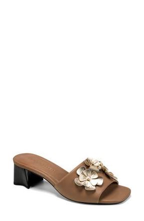 Karl Lagerfeld Sandreea Slide Sandal in Tan at Nordstrom Rack, Size 7.5