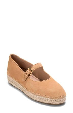 Cole Haan CloudFeel Asbury Mary Jane Flat in Biscuit Suede at Nordstrom, Size 9.5