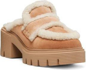 Stuart Weitzman Lennox Genuine Shearling Trim Platform Loafer in New Camel/Natural/Caramel at Nordstrom Rack, Size 9