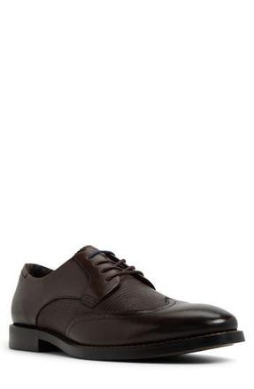 Ted Baker Hackney Derby in Dark Brown at Nordstrom Rack, Size 10.5Us / 43.5Eu