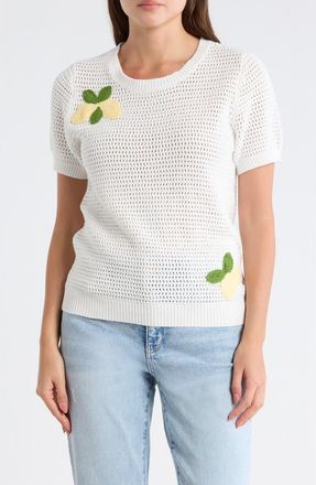 Daniel Rainn Short Sleeve Lemon Open Stitch Sweater in Ivory at Nordstrom Rack, Size X-Small