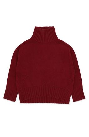 Fortela Ele High Neck Sweater in Burgundy at Nordstrom, Size Medium Eu