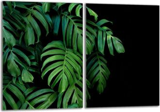 OEM Protector De Vidrio Para Estufa 2x40x52 Monstera