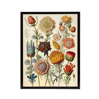 Artery8 Ernst Haeckel Inspired Vintage Floral Framed Canvas Wall Art Print | Size: W24 x H32