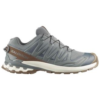 Salomon XA Pro 3D V9 GORE-TEX Lifelong Freizeitschuhe f&uuml;r Herren | grau