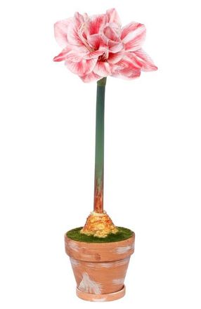 Mark Roberts Potted Amaryllis Flower, Set of 2 in Red at Nordstrom