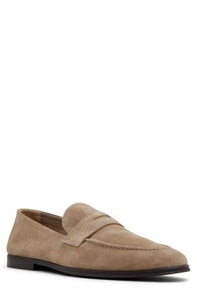 Aldo Journey Loafer in Beige at Nordstrom, Size 10.5