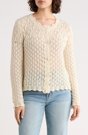 WD&bull;NY Crochet Cardigan Sweater in Cream at Nordstrom Rack, Size X-Large