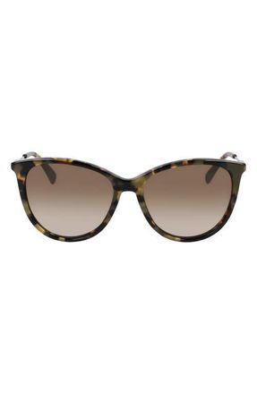Longchamp 55mm Gradient Tea Cup Sunglasses in Khaki Havana at Nordstrom