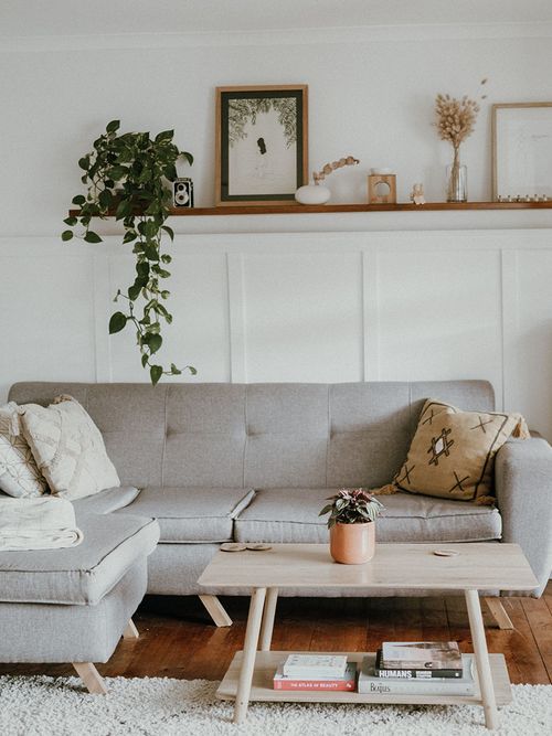 Graues Sofa vor einer weißen Wand mit einem Hängeregal und einer Pflanze.