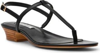 Steve Madden Ralia Slingback Sandal in Black at Nordstrom, Size 7.5