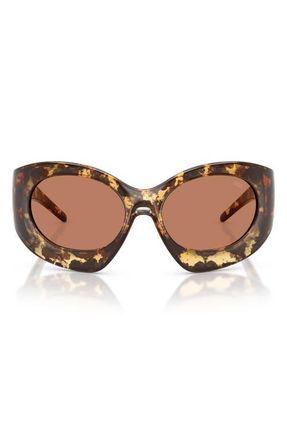 Diesel 56mm Cat Eye Sunglasses in Yellow Havana /Light Brown at Nordstrom