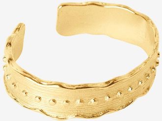 Paola Sighinolfi Goldene Manschette Vania