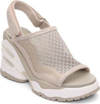 Ash Ceva Bubble Cushioned Slingback Sport Sandal in Vapor at Nordstrom, Size 10Us