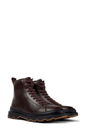 Camper Noray Combat Boot in Dark Brown at Nordstrom, Size 38