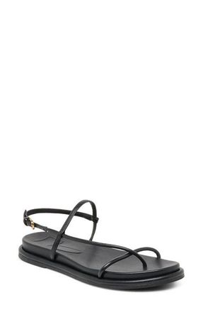 Dolce Vita Dom Strappy Sandal in Black Leather at Nordstrom, Size 9.5