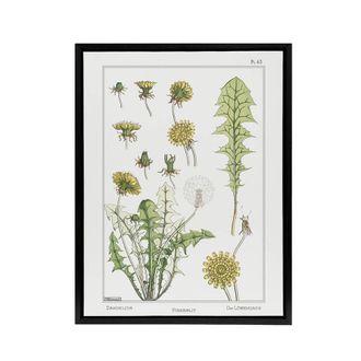 Artery8 Dandelion Flower Framed Canvas Wall Art Print Vintage Floral Verneuil in White | Size: W24 x H32