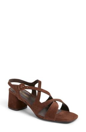Jeffrey Campbell Rayet Strappy Block Heel Sandal in Brown Suede at Nordstrom, Size 8.5