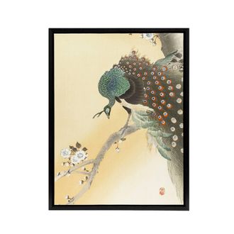 Artery8 Peacock On A Cherry Blossom Tree Framed Canvas Wall Art Print Koson in Orange | Size: W24 x H32