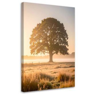 Feeby Cuadro Sobre Lienzo, &Aacute;rbol En La Niebla En Un Prado Paisaje Naturaleza, 70x100